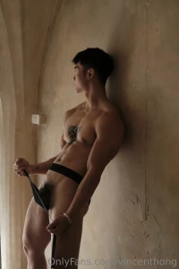 Vincenthong part 246