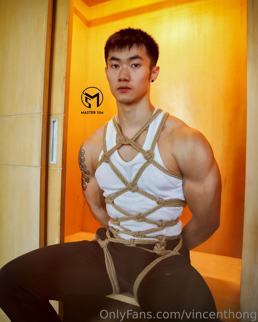 Vincenthong part 270 