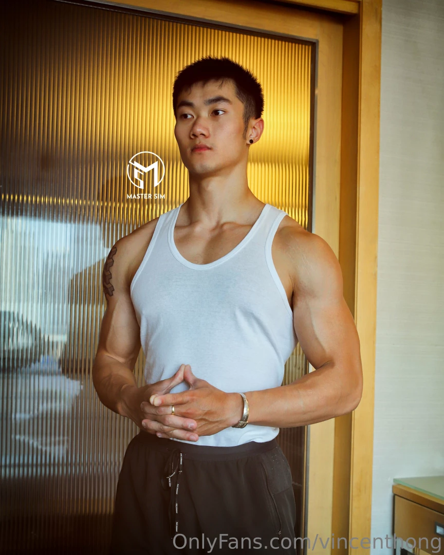 Vincenthong part 282 