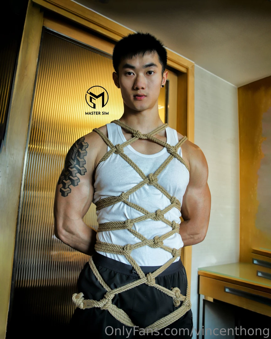 Vincenthong part 276 