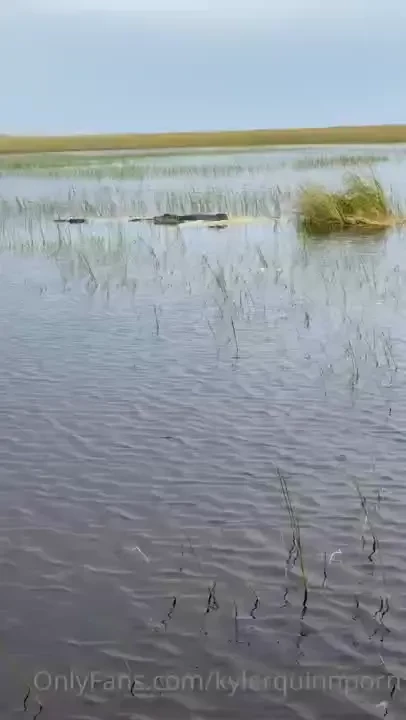 Not porn but it s something i like to do when i m not home part 4 