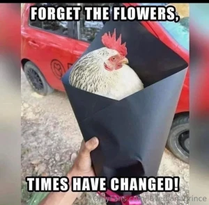 Good morning and happy valentine s day part 1