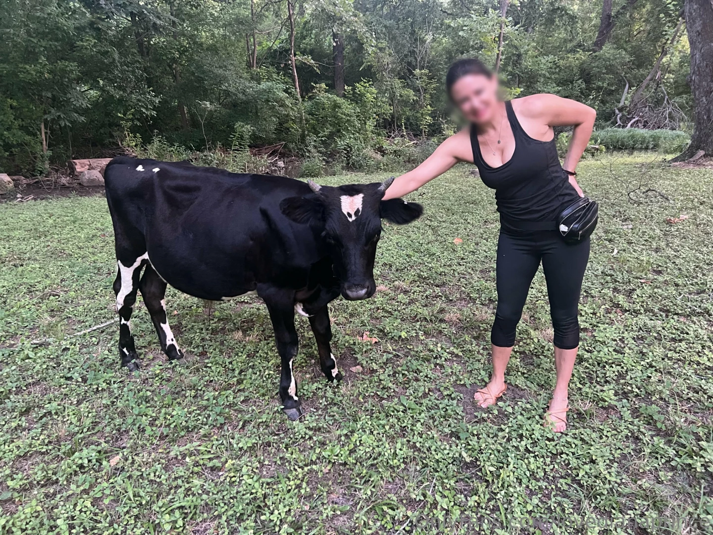 Happy nationalcowday remember to eatmorechicken 