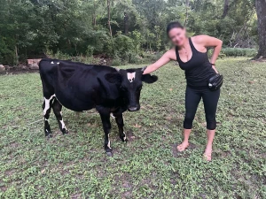 Happy nationalcowday remember to eatmorechicken