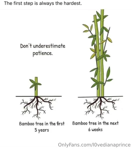 L0vedianaprince part 2