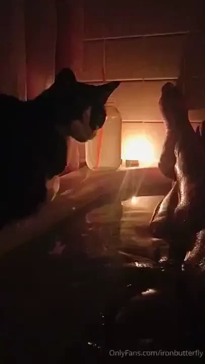 Ironbutterfly part 1 