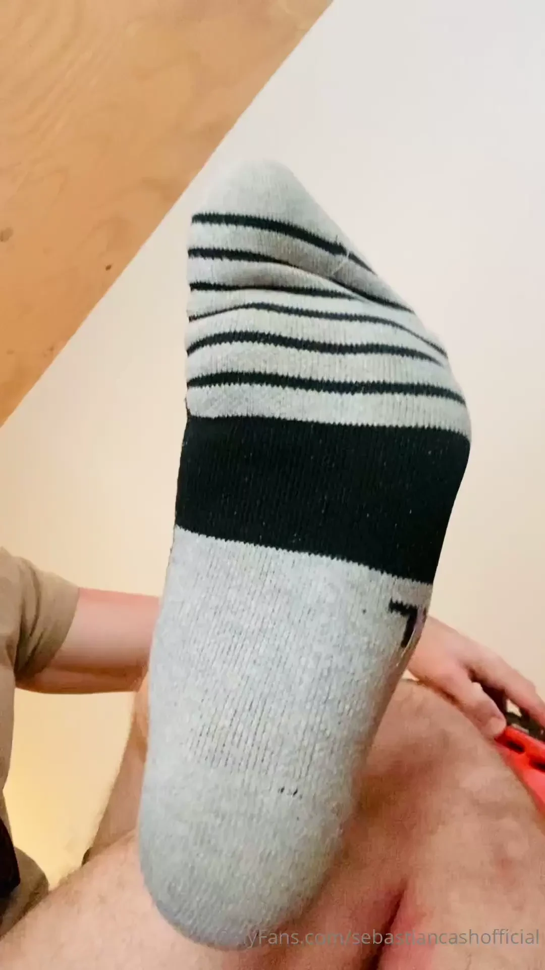 Greetings from australia sniff and send 