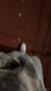 Here s me pulling my cock out while walking home from the bar sorry it