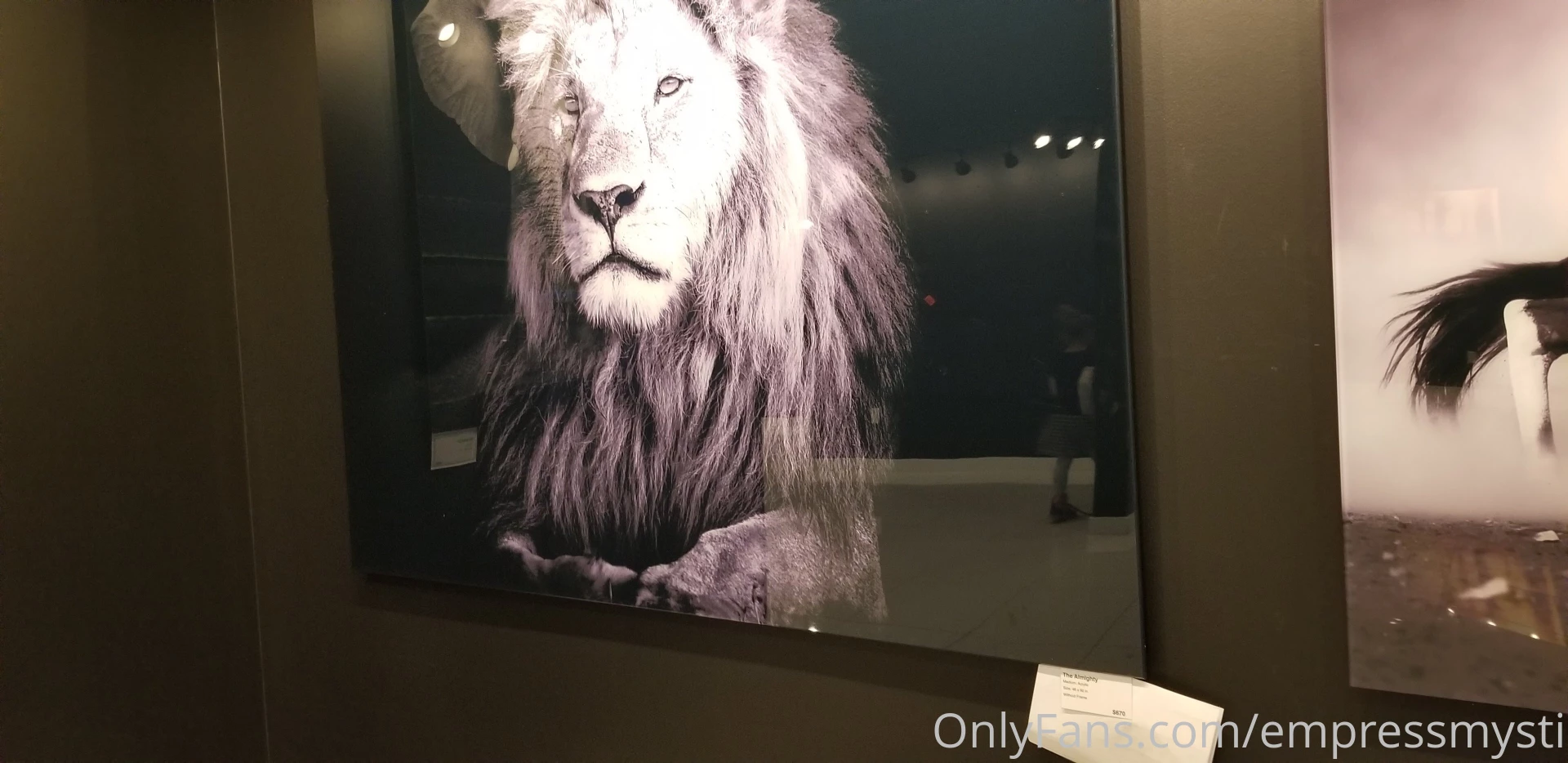 I love this lionheart i am a leo 