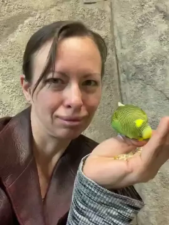 Went out to a fun little aquarium zoo in my area i love critters human part 1 