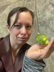 Went out to a fun little aquarium zoo in my area i love critters human part 1