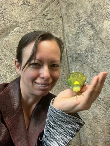 Went out to a fun little aquarium zoo in my area i love critters human