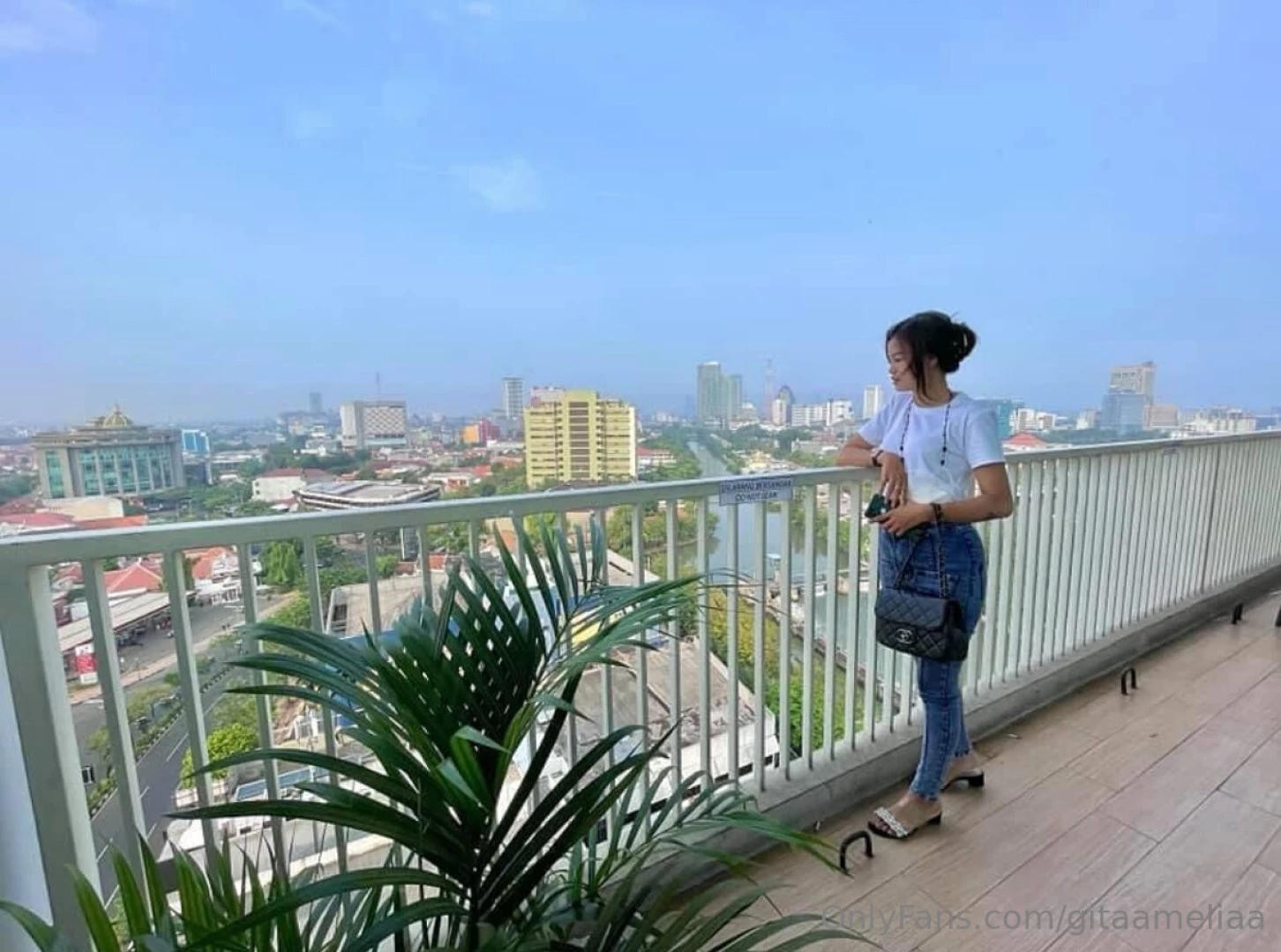 Gitaameliaa part 160174 
