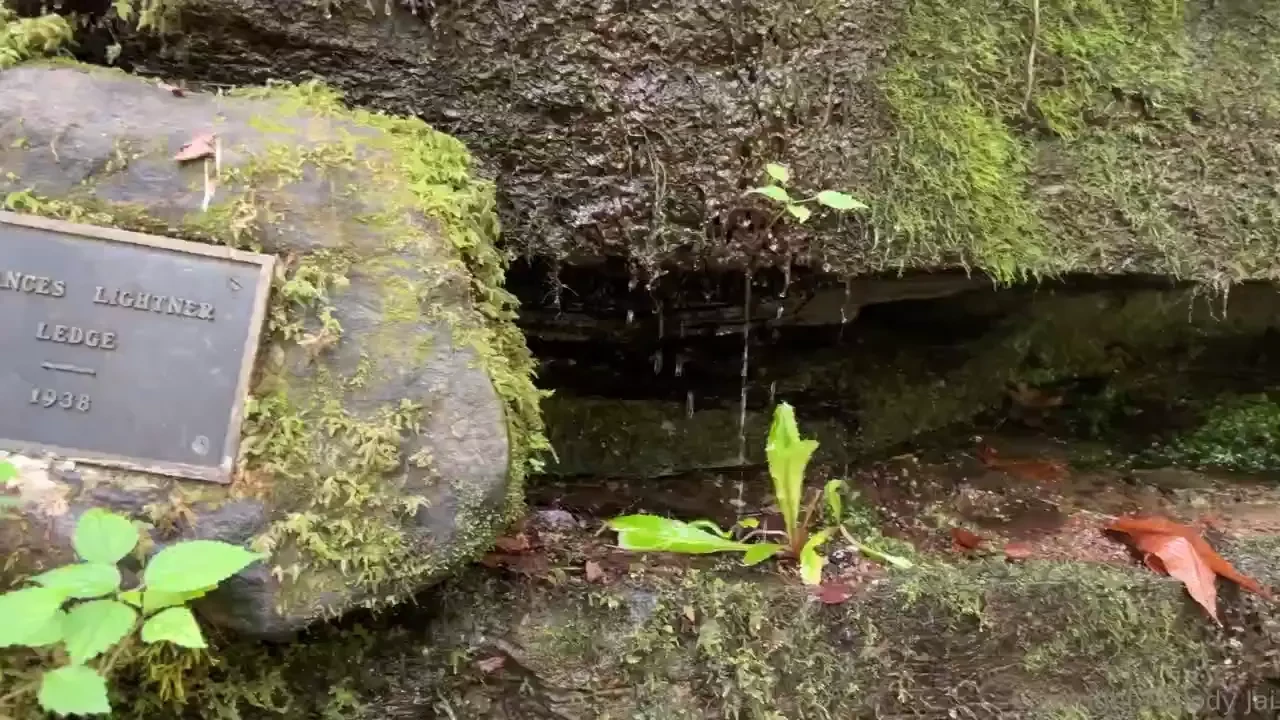 Beautiful hike today at pearson falls nc this place feels magical 