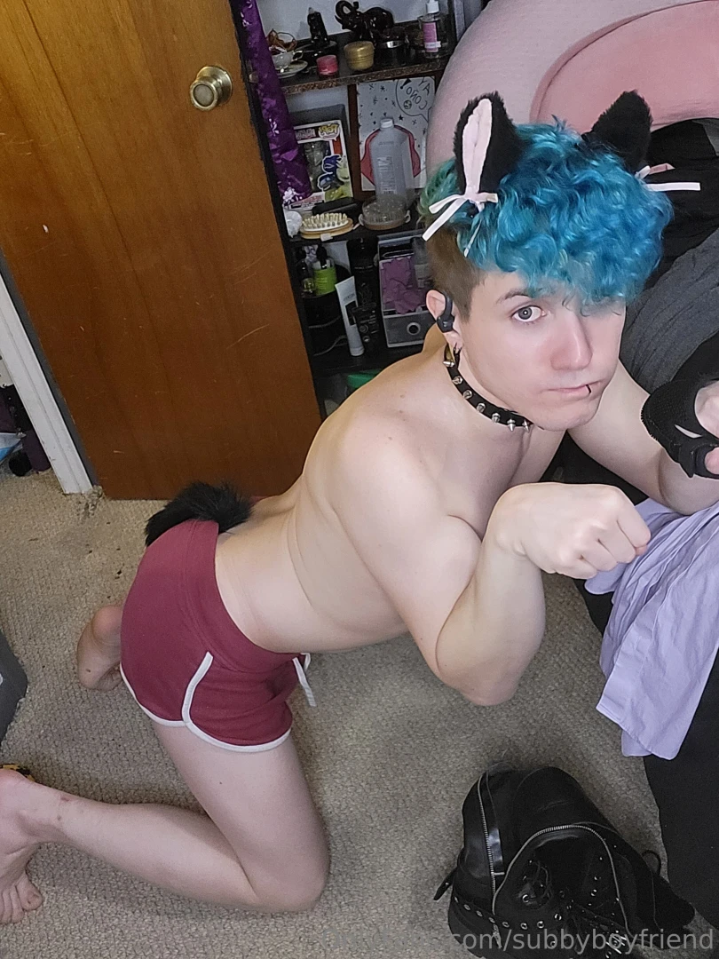 I m a good kitty gt lt 