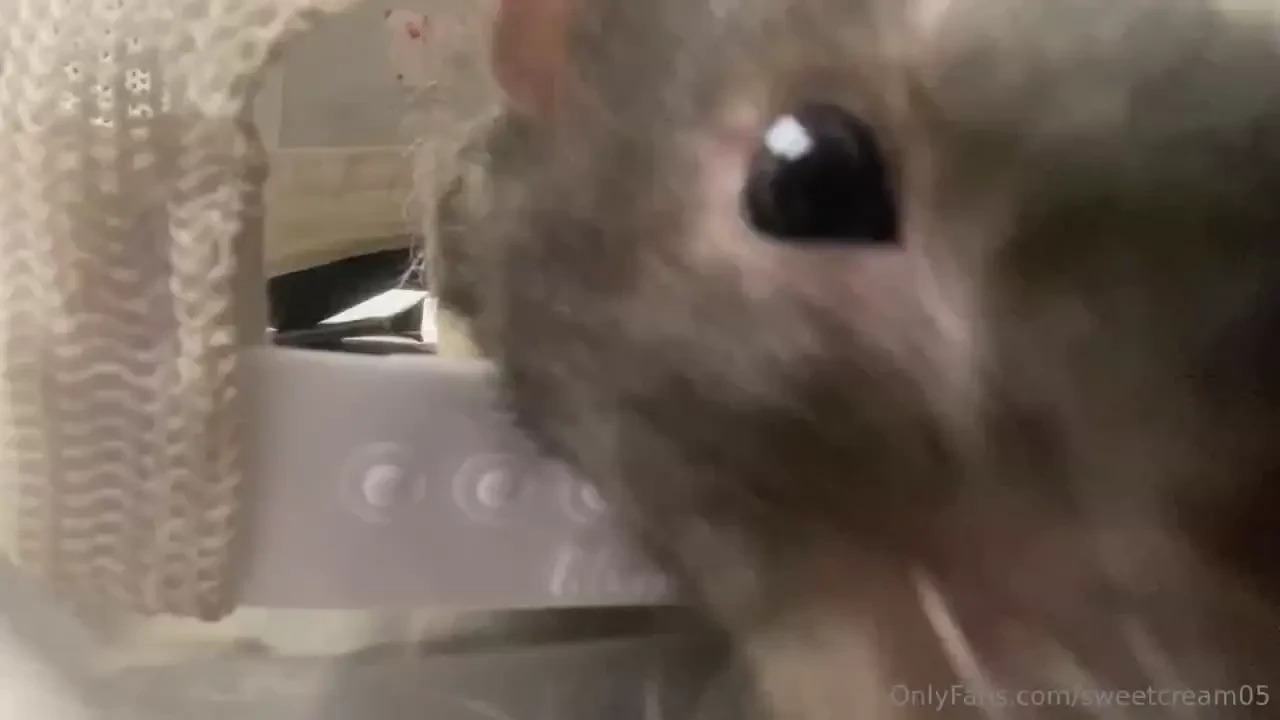 Took my little man to the vet today and got him some antibiotics 