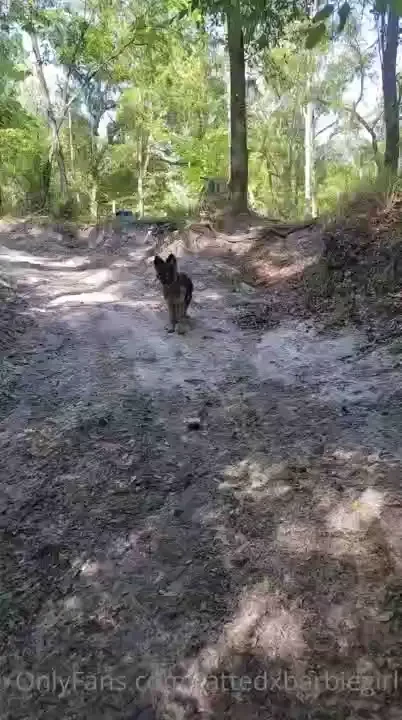 What do you do for fun i like taking my dog out and finding new places 