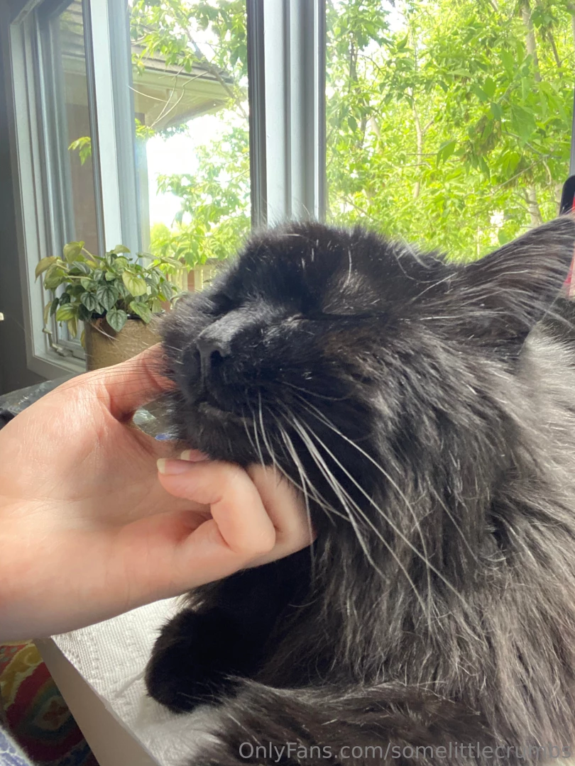 Time for some pussy pics he goes by goober gremlin stinky boy and my 