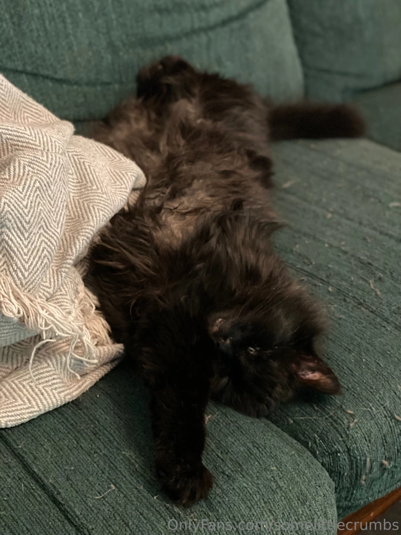 Time for some pussy pics he goes by goober gremlin stinky boy and my part 1 