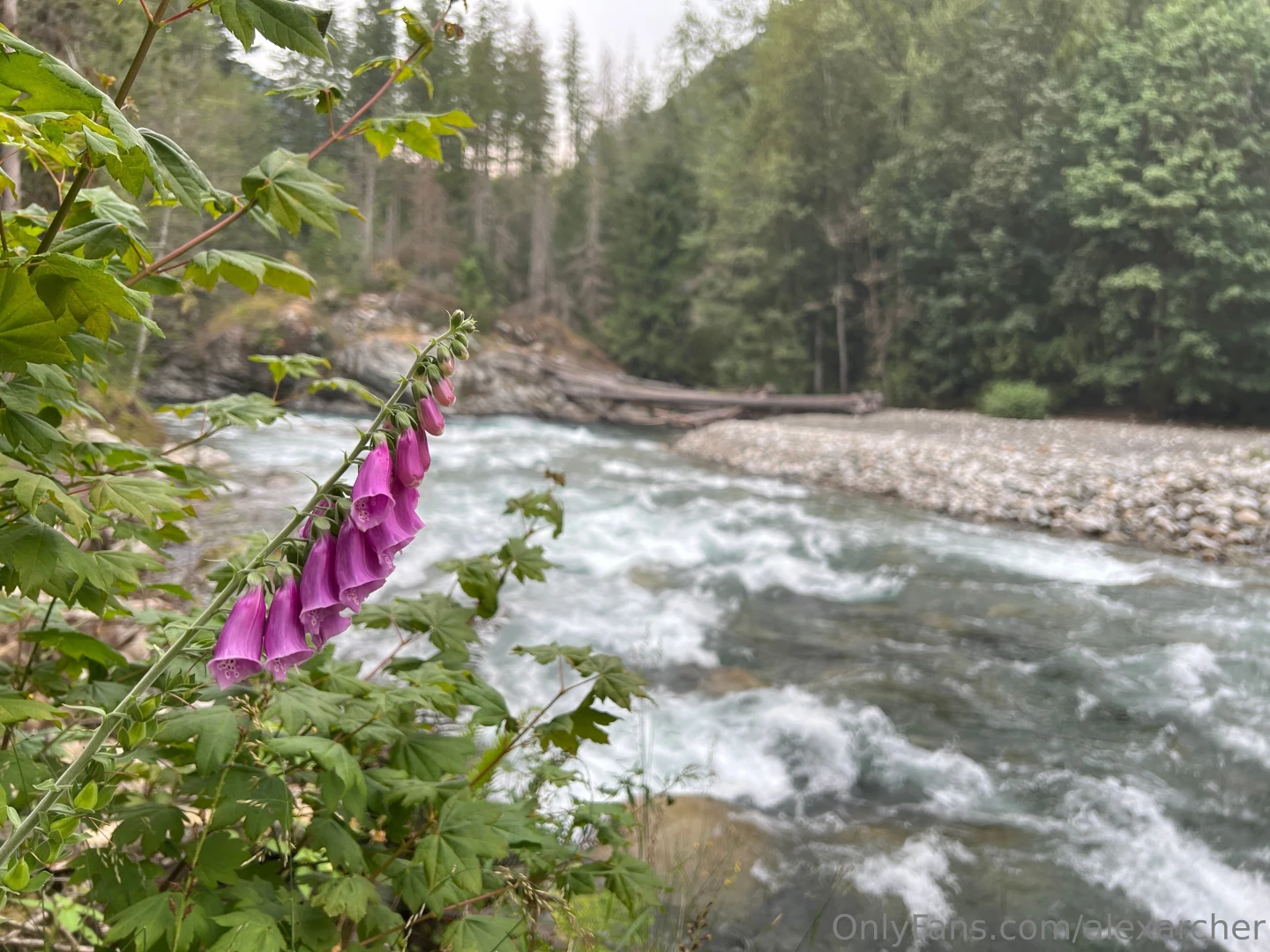 What do you think of this location we found this mountain river is part 1 