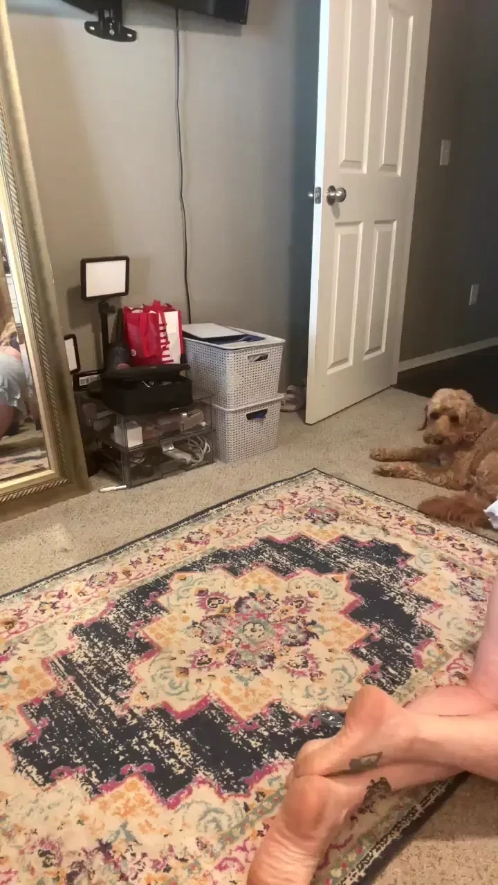 Stream started at 06 24 2025 01 44 pm good morning 