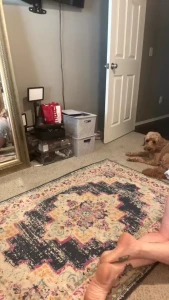 Stream started at 06 24 2025 01 44 pm good morning