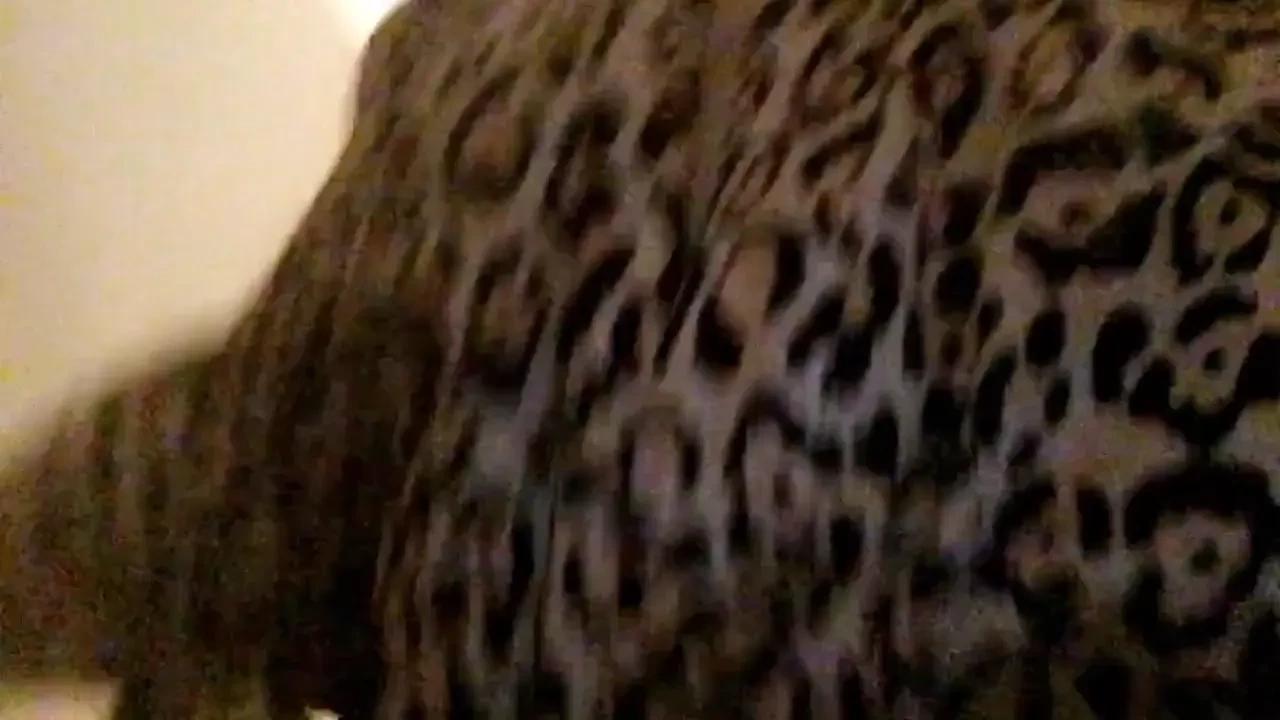 Up close and personal part 359 