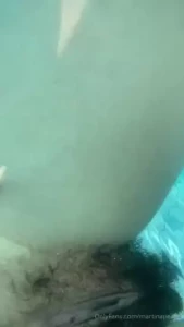 Underwater bush