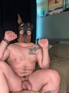 Pup link part 3