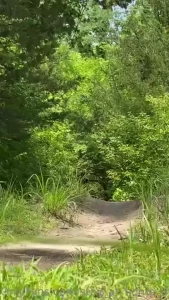 I made it over 10 miles today it s been awhile since i rode that far part 6