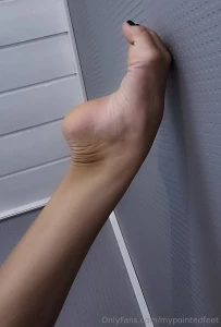 Every toe perfectly poised the art of pointed feet