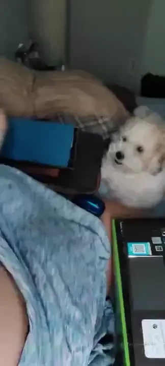 I honestly should just wear clothes when hash is around 