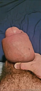 Did everyone have a good thanksgiving