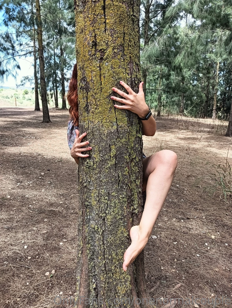 I ve always loved trees tall beautiful and strong just like the other 