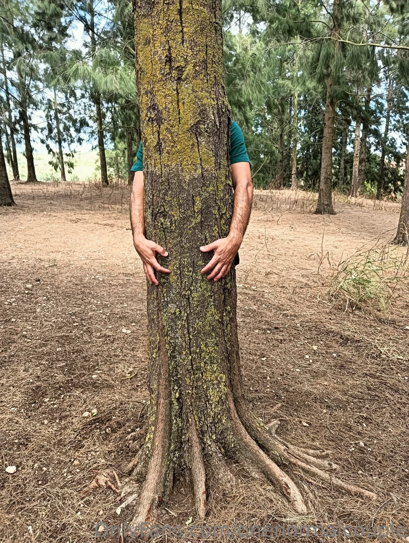 I ve always loved trees tall beautiful and strong just like the other part 2 