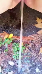 Had to stop on the side of the road to make a quick puddle as i