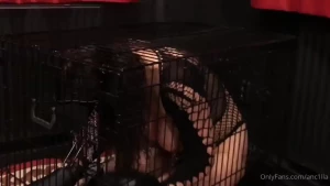 Pet training amp frustrating masturbation challenge fotoro decided i