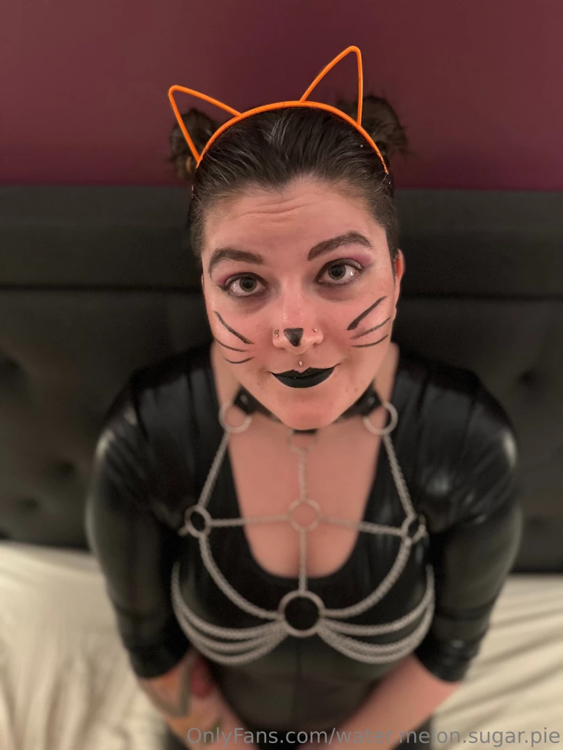 Here kitty kitty anybody been around long enough to remember this from 