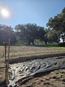 Laying down new beds for the fall maybe next i ll cum in your bed part 1