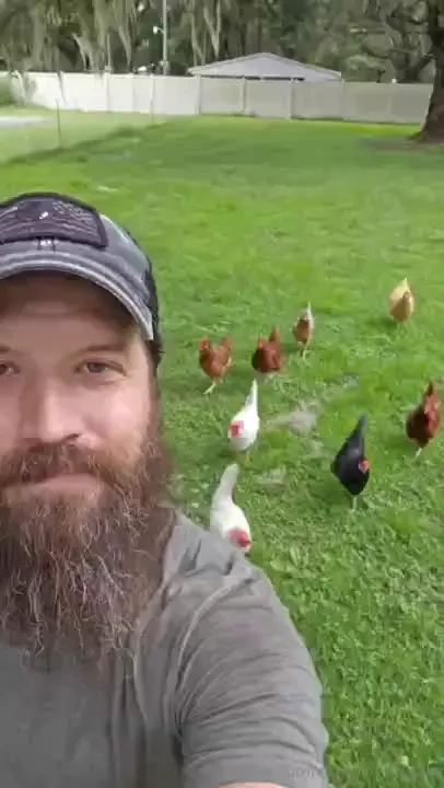 Taking the ladies for a stroll 