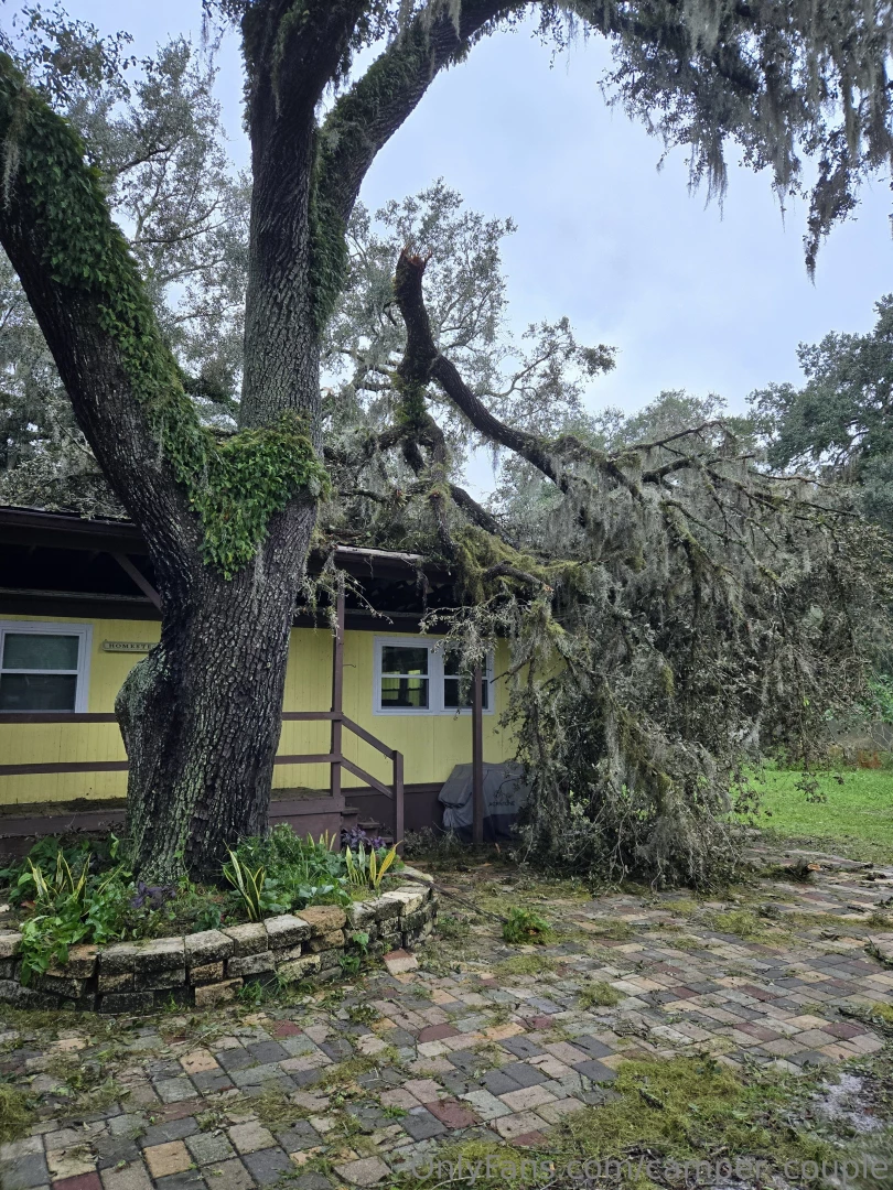 We are ok here after hurricane milton some trees came down in our 