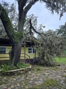 We are ok here after hurricane milton some trees came down in our