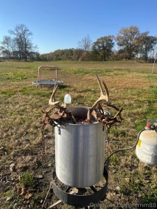 Boiling a deer head for the wife an in home decorating project cum