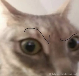 Kirito-uwu-waifu part 43