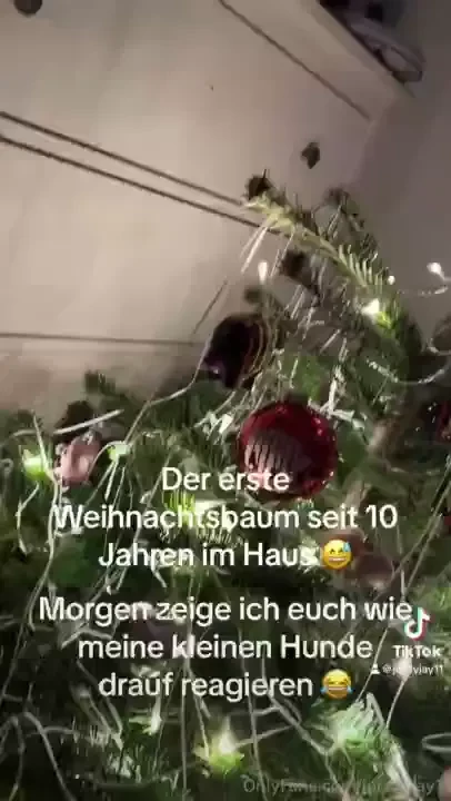 Wer von euch kennt peter alexander haaaaallloooooo 