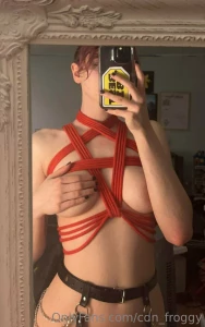 What do we think about this chest harness it was fun to learn and i part 2
