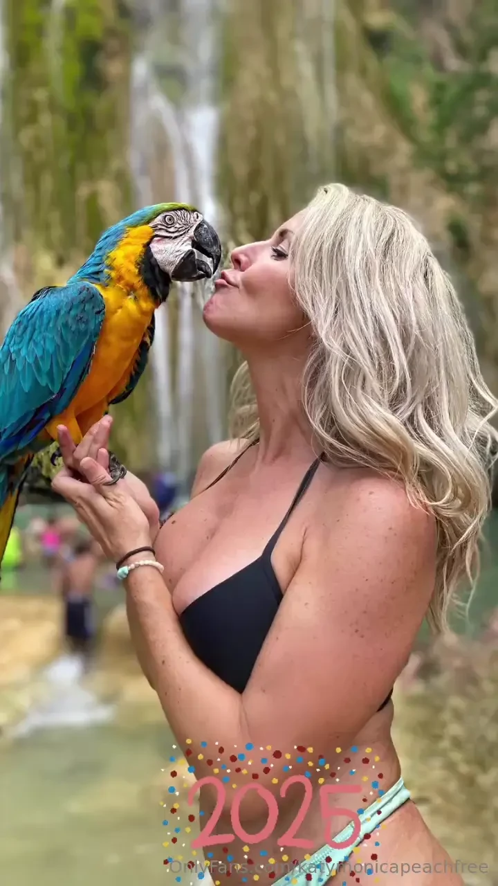 Bonne ann e toi mon c ur happy new year babe 