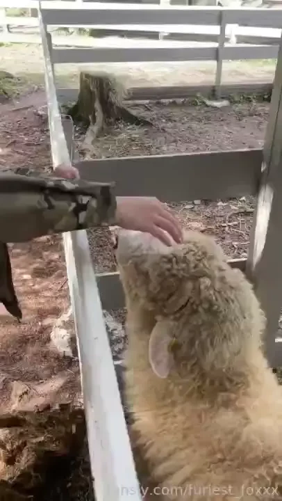 Spent an unforgettable day in the mountains last week and met these 