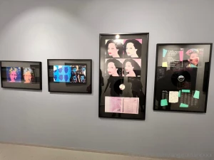 I went to see the central gallery for salvadore dahli andy warhol and part 8