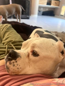 How i ve been spending my days since i got back